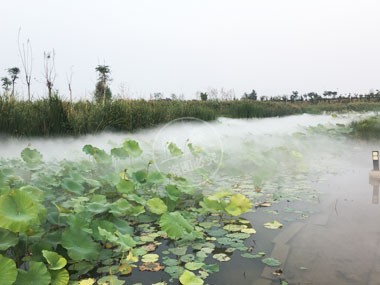 邯郸洺湖湿地公园项目